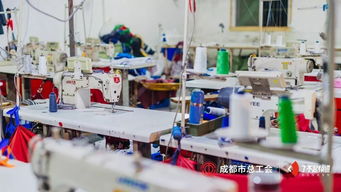 感謝每個留在成都的人，讓我更愛這座城 信息技術咨詢服務的溫情力量